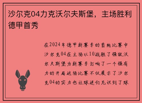 沙尔克04力克沃尔夫斯堡，主场胜利德甲首秀